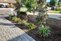 Artificial-Grass-Installation-Huntington-Beach-Before-2