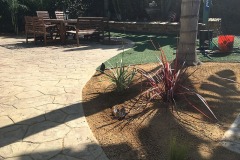 Backyard-Drought-Tolerant-Landscape-Installation-Huntington-Beach