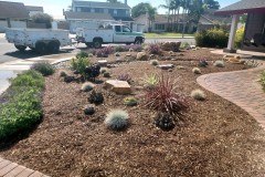 Drought-Tolerant-Landscape-Installation-Huntington-Beach