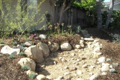Drought-Tolerant-Landscape-Installation-Newport-Beach-Ca