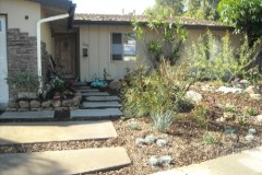 Drought-Tolerant-Landscape-Installation-Newport-Beach