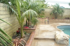 Drought-Tolerant-Landscape-Installation-Pool-Area-Huntington-Beach