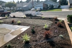 Front-Yard-Synthetic-Lawn-Installation-Huntington-Beach-Before-3